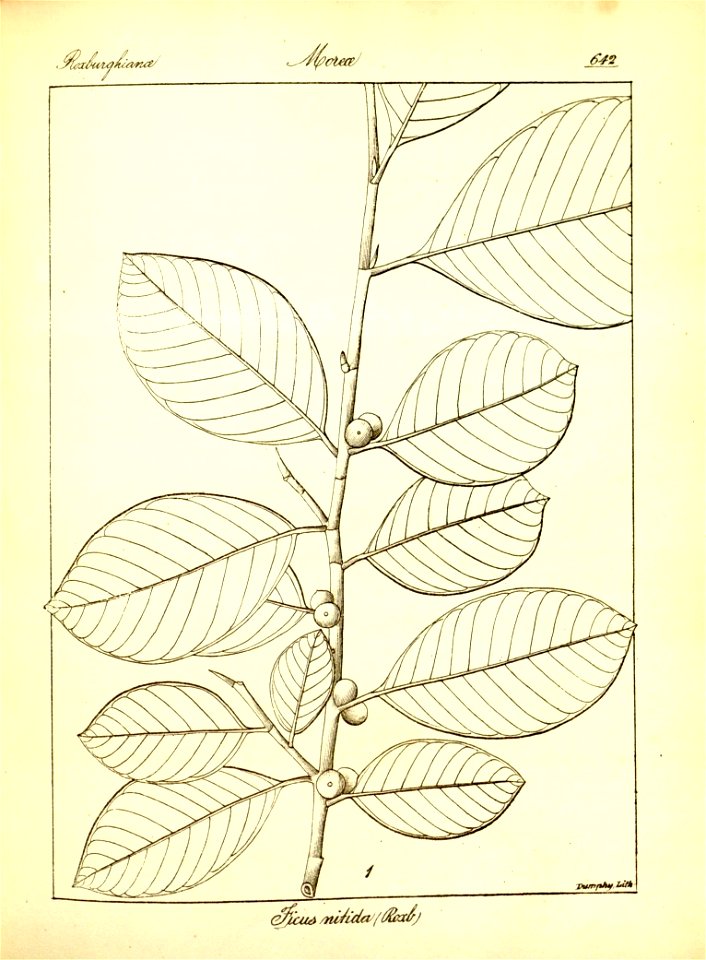 n368_w1150