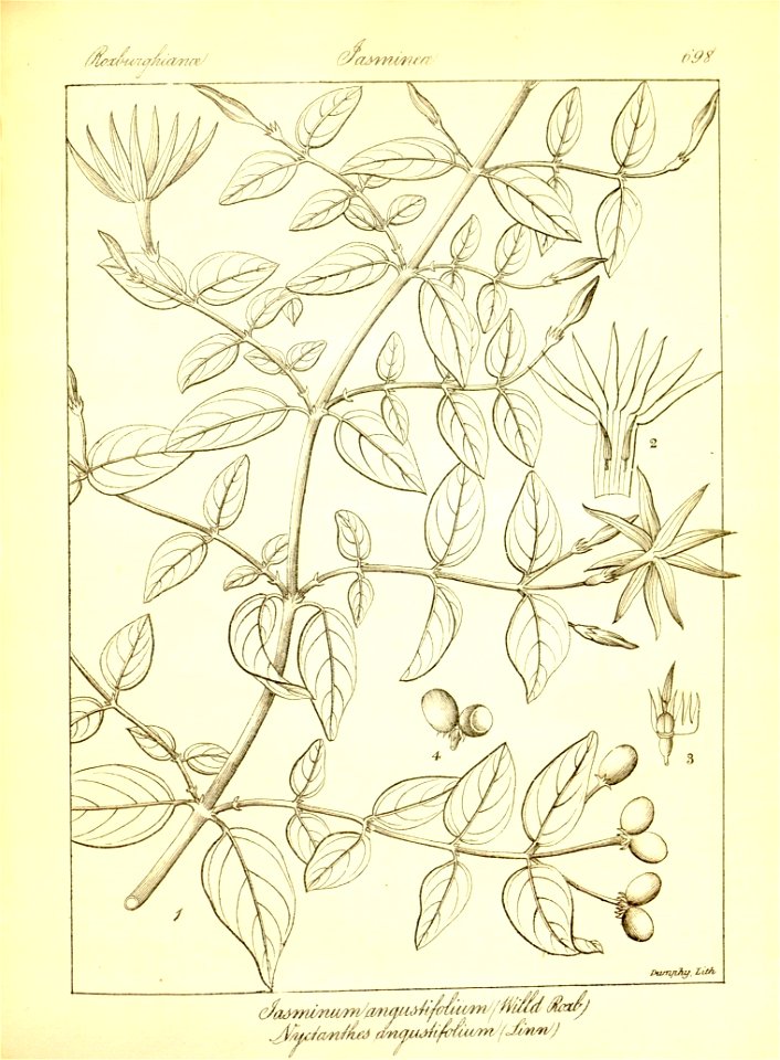 n424_w1150