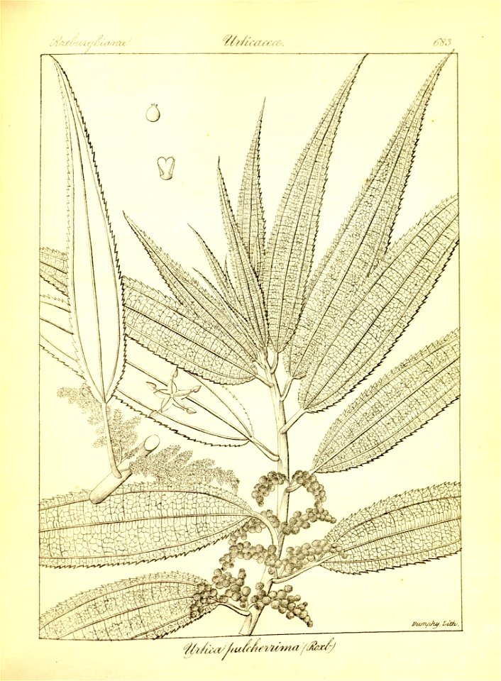 n409_w1150