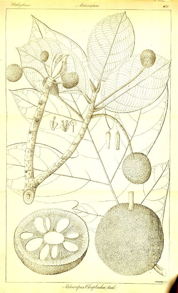 n408_w1150