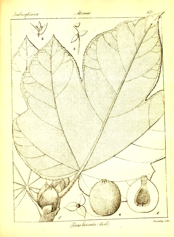 n396_w1150