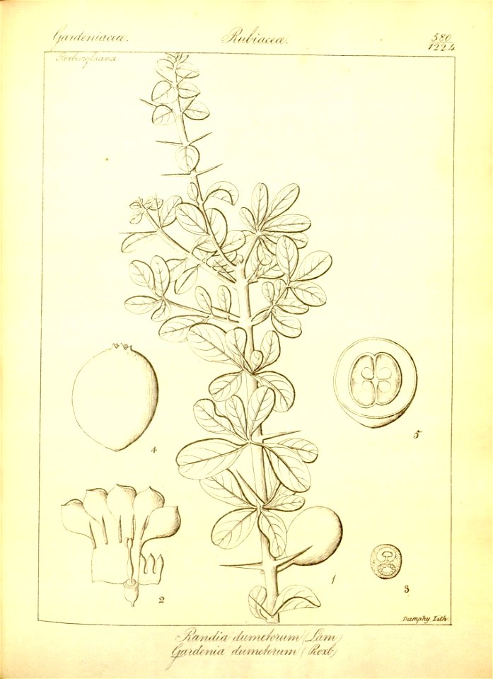 n306_w1150