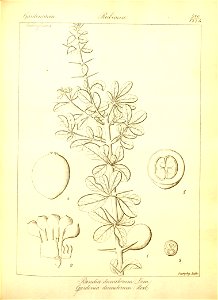 n306_w1150