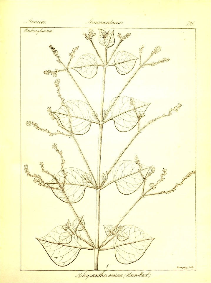 n452_w1150