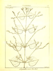 n452_w1150