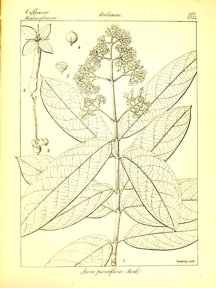 n437_w1150