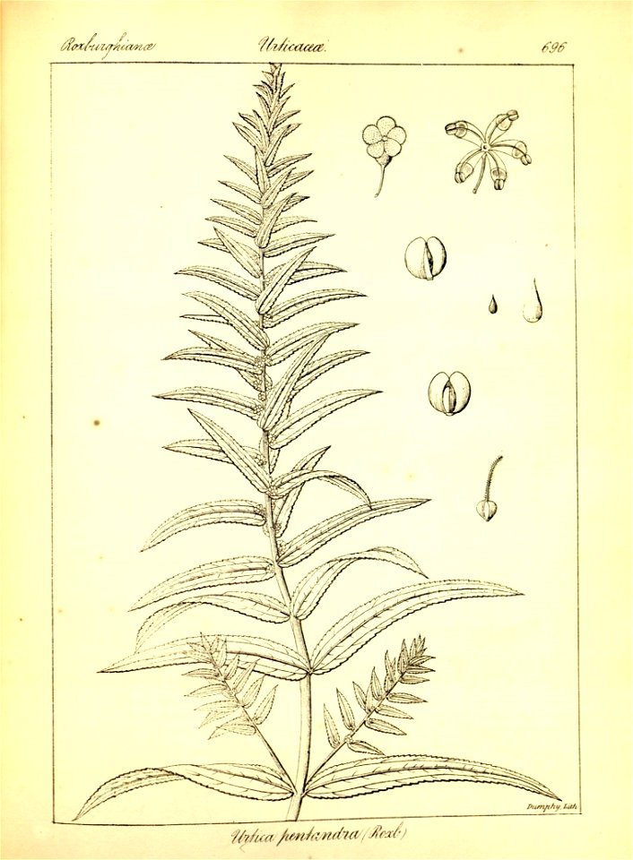 n422_w1150