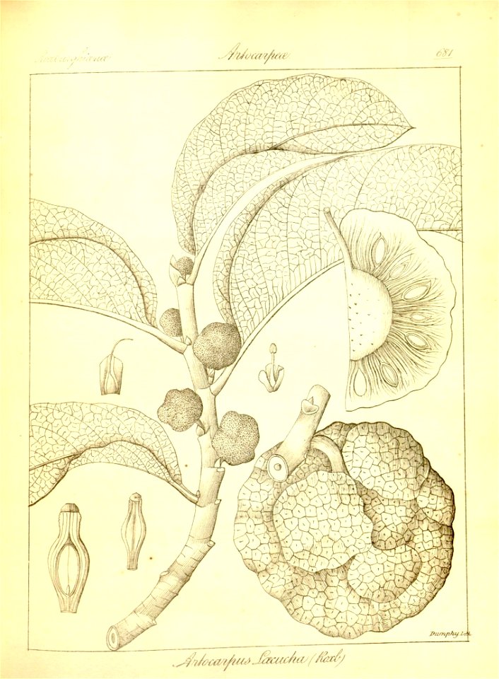n407_w1150