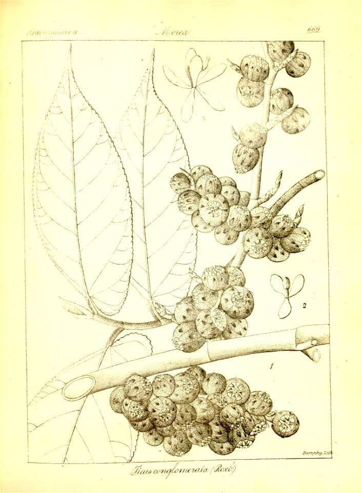 n395_w1150