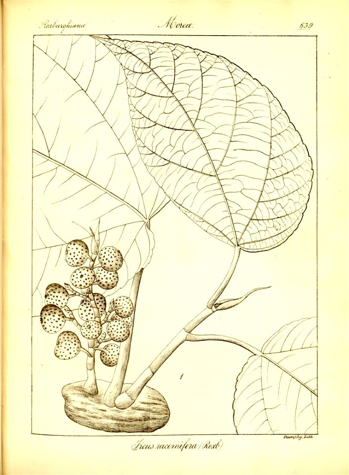 n365_w1150
