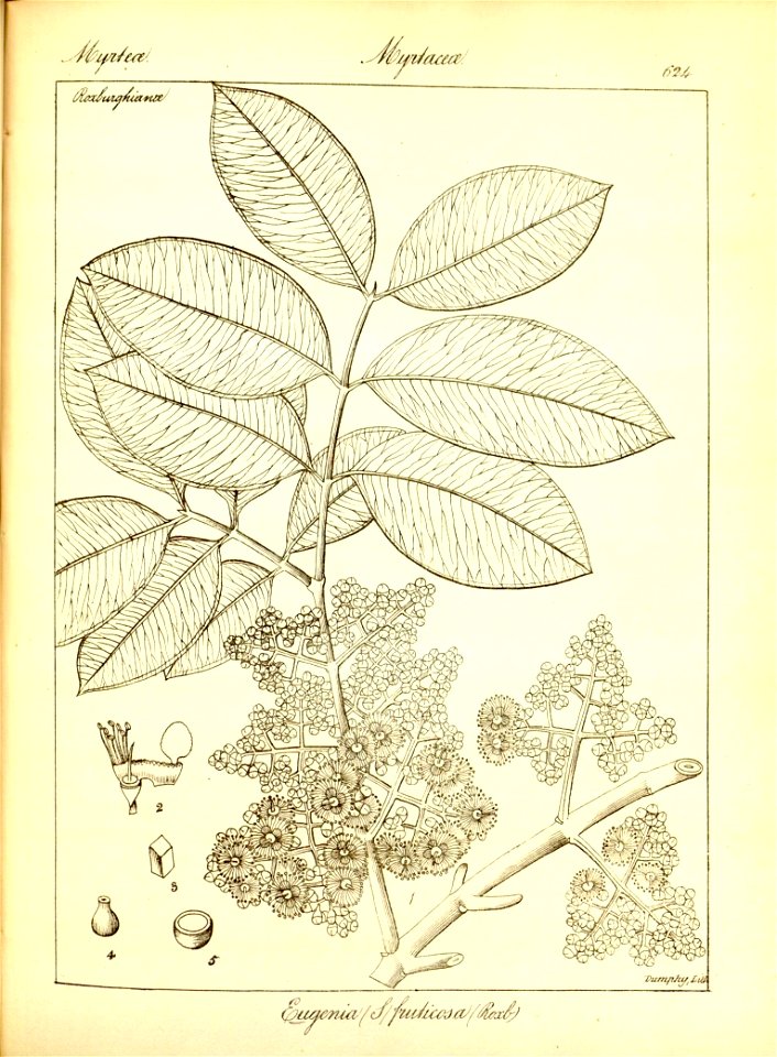 n350_w1150
