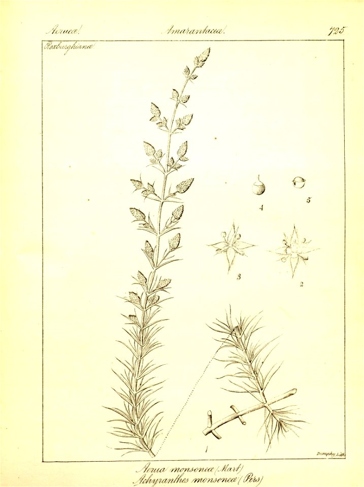 n451_w1150