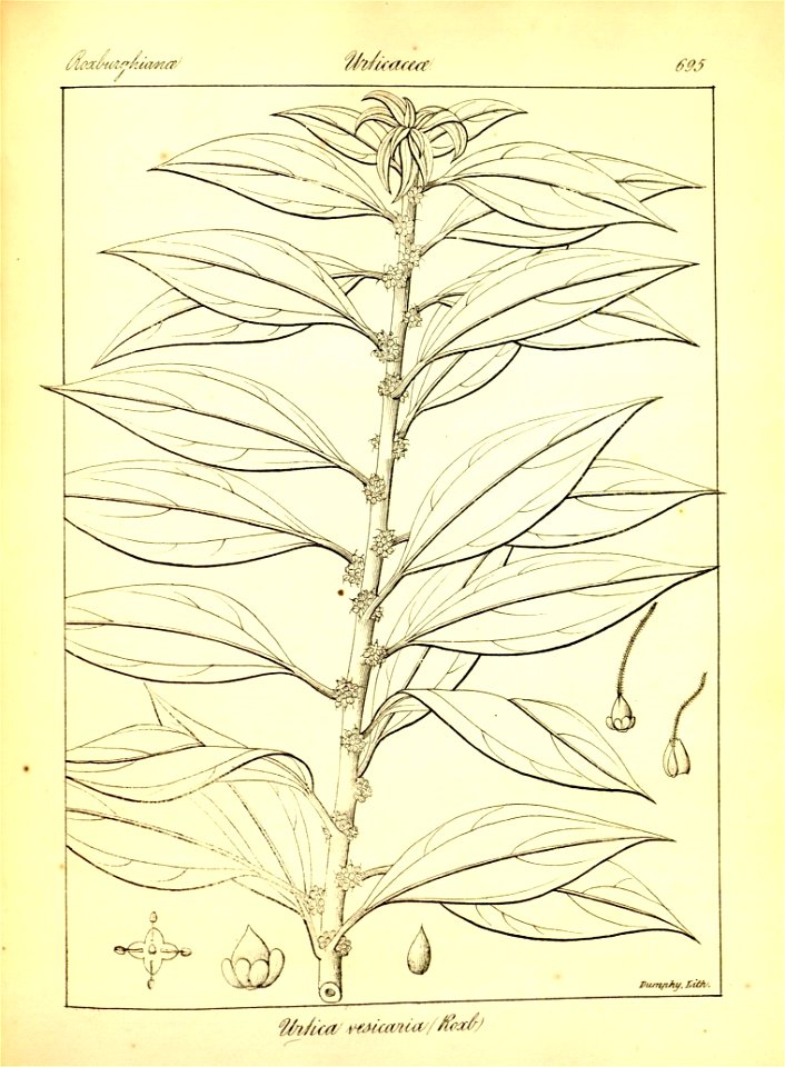 n421_w1150
