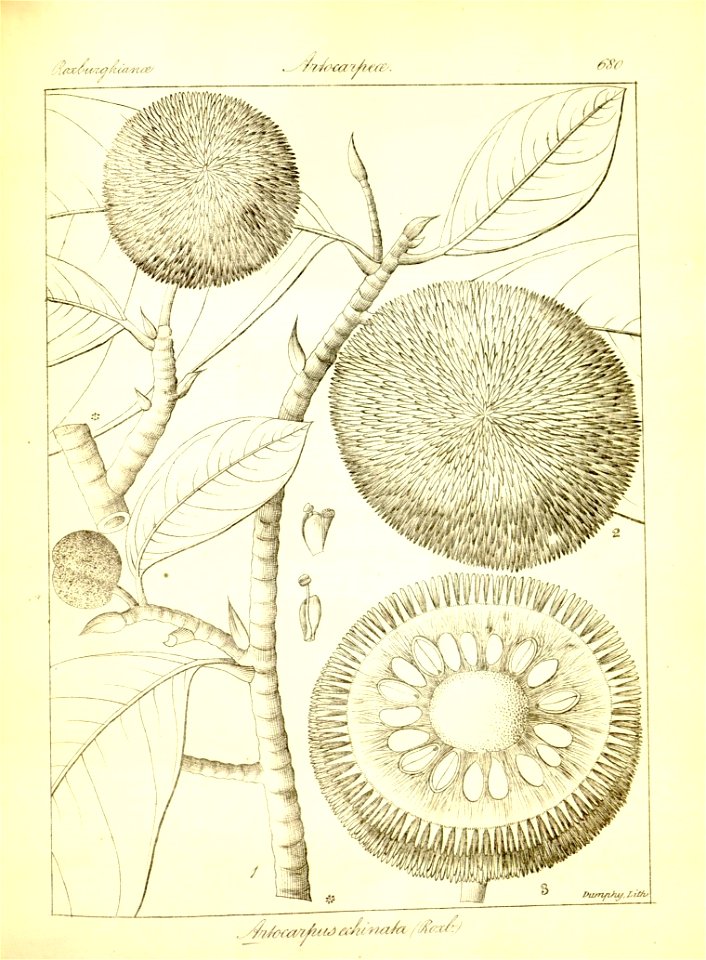n406_w1150