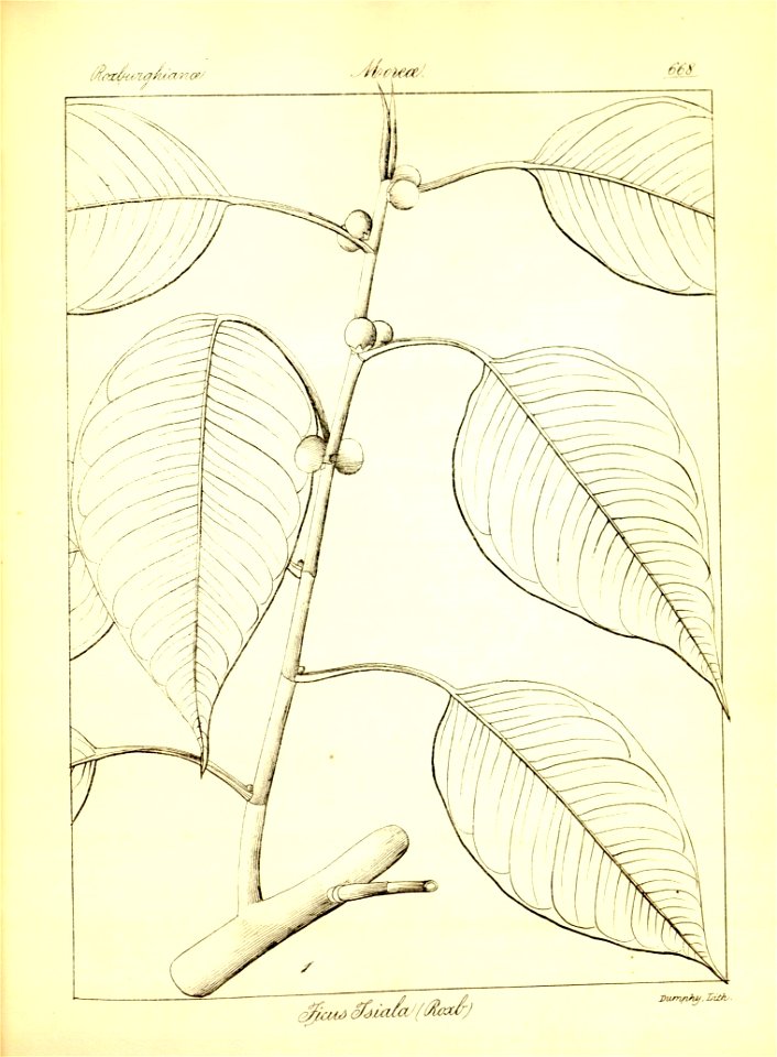 n394_w1150