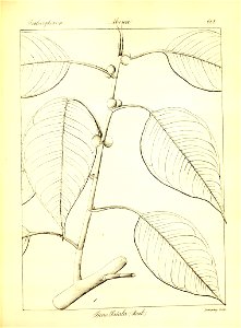 n394_w1150