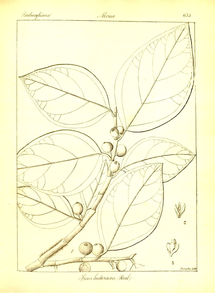n379_w1150