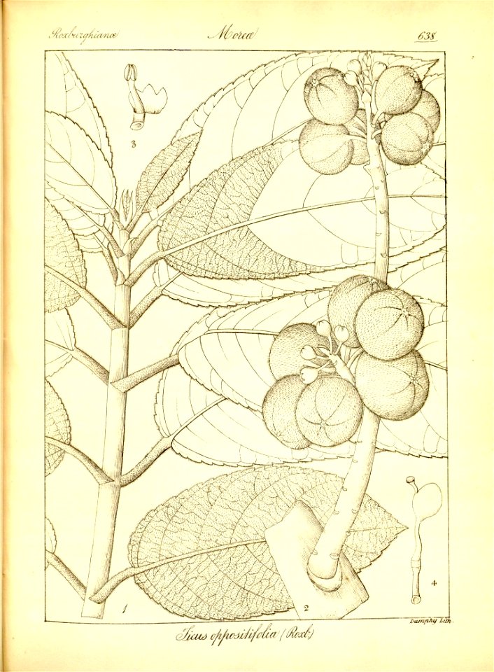 n364_w1150