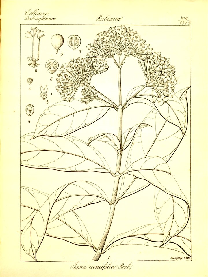 n435_w1150