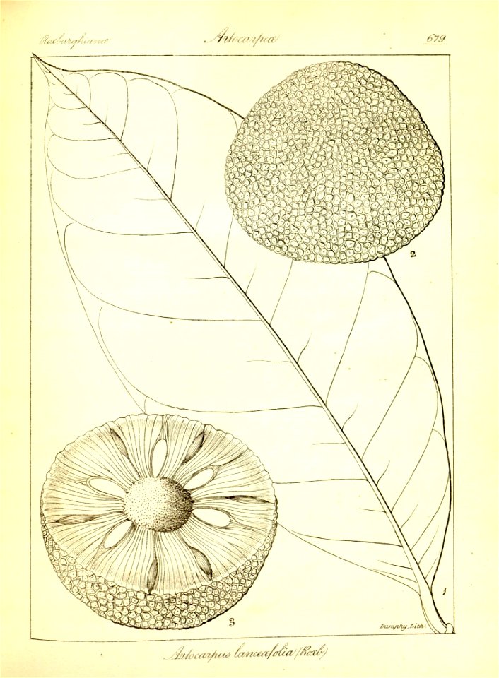 n405_w1150