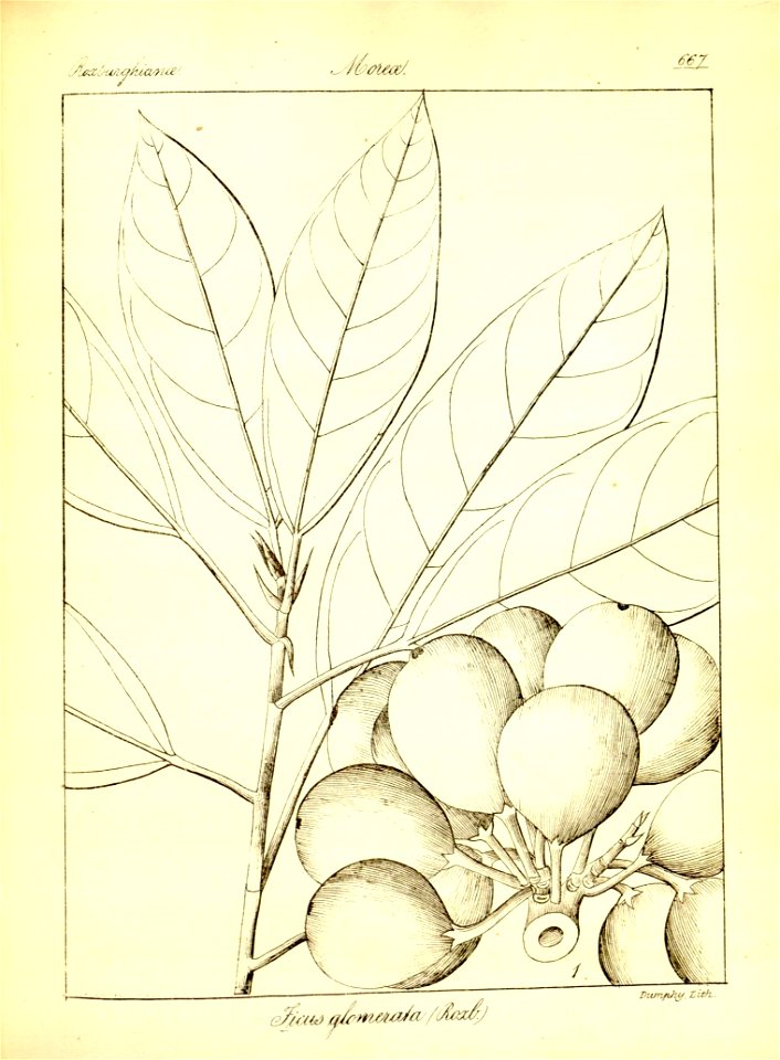 n393_w1150