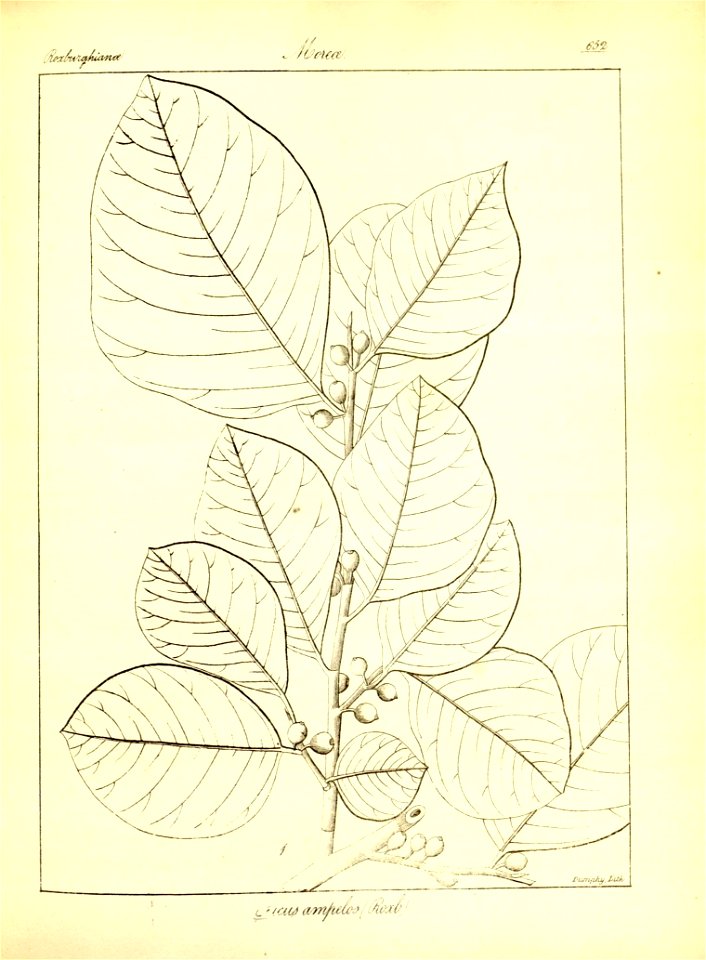 n378_w1150