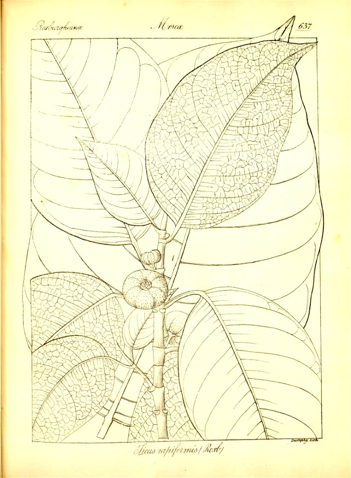 n363_w1150