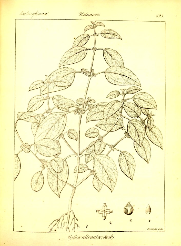 n419_w1150