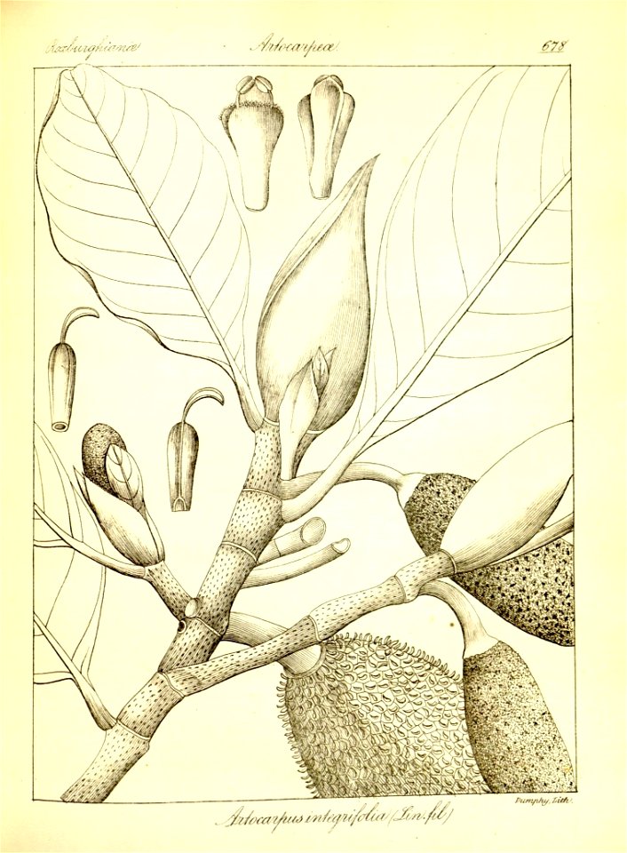 n404_w1150