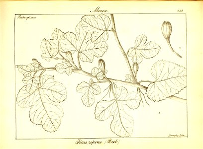 n362_w1150