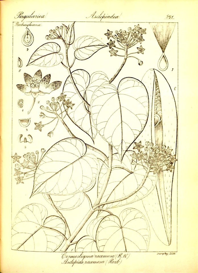 n317_w1150
