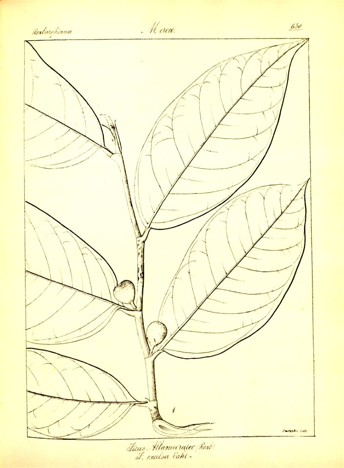 n376_w1150