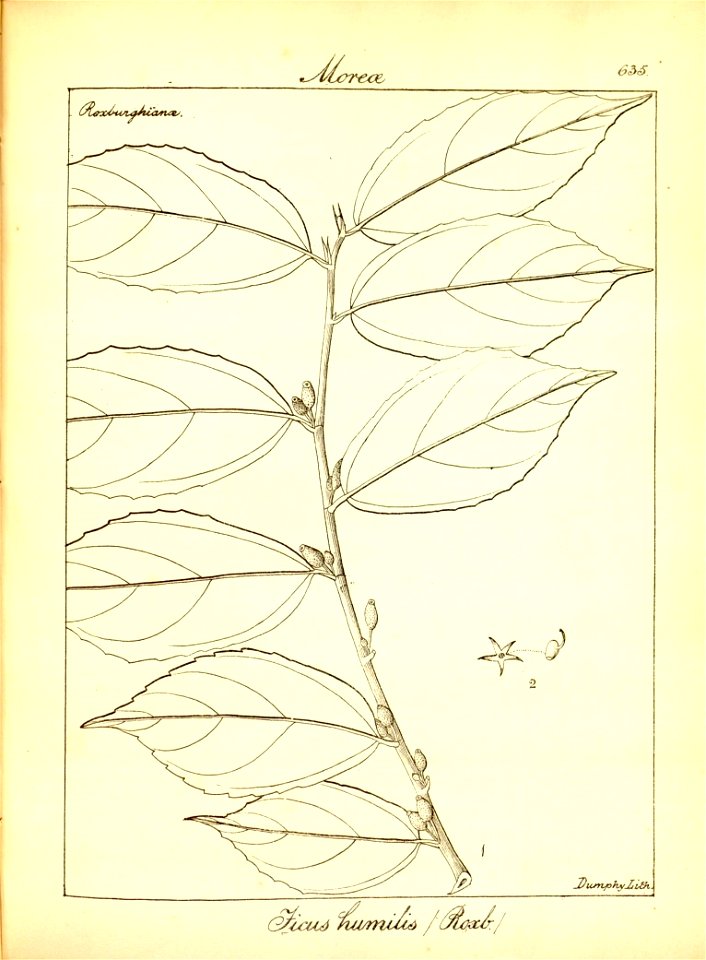 n361_w1150