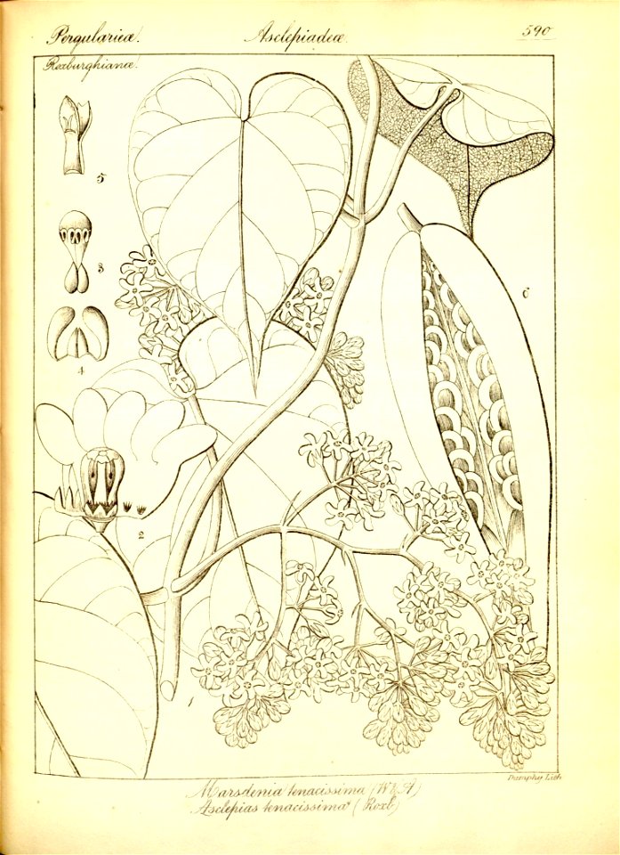 n316_w1150