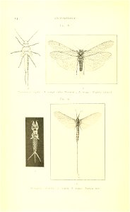 n29_w1150