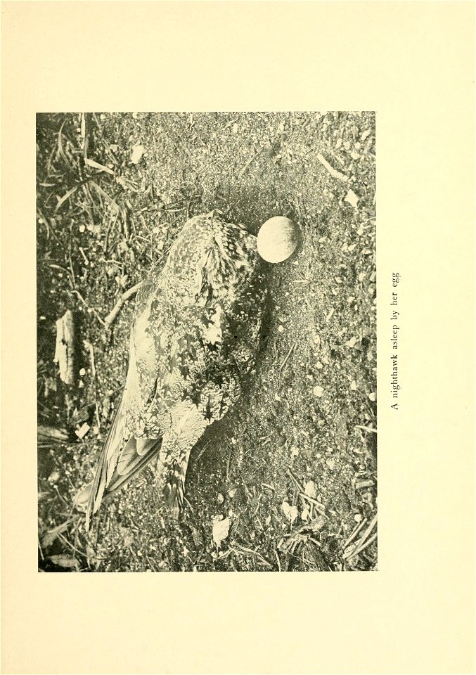 n114_w1150