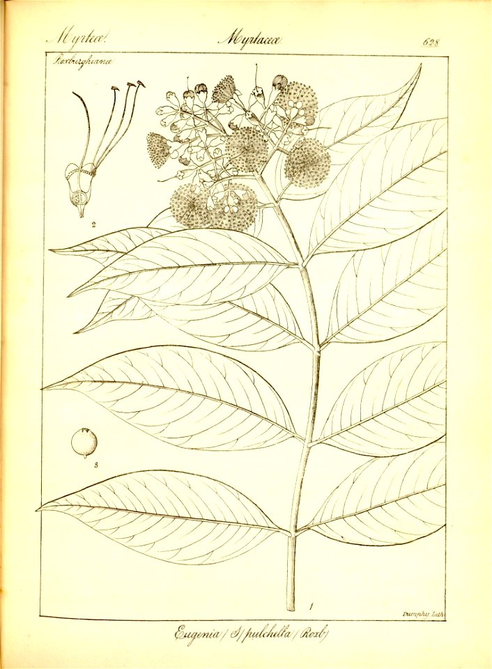 n354_w1150