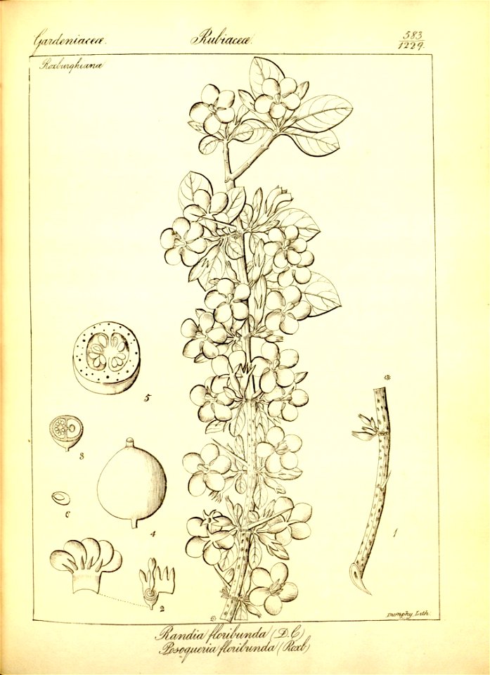 n309_w1150