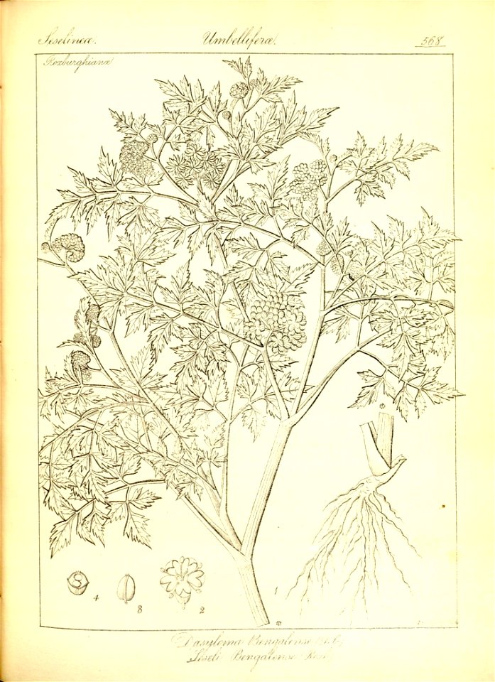 n294_w1150