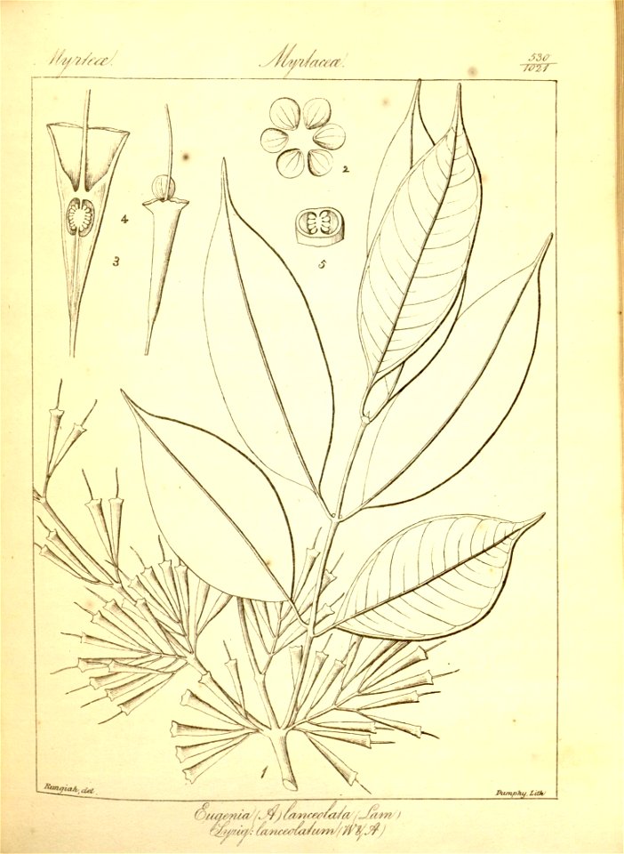 n256_w1150