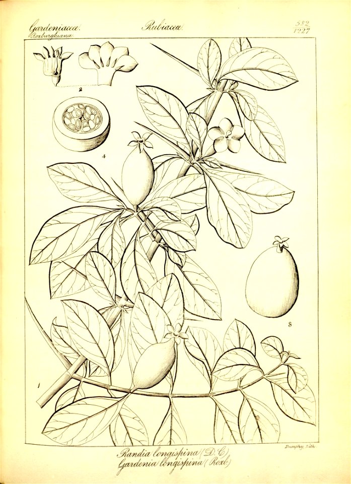 n308_w1150
