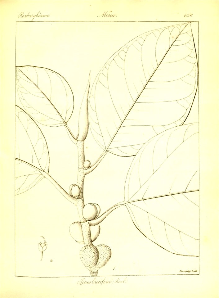 n382_w1150