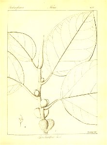 n382_w1150