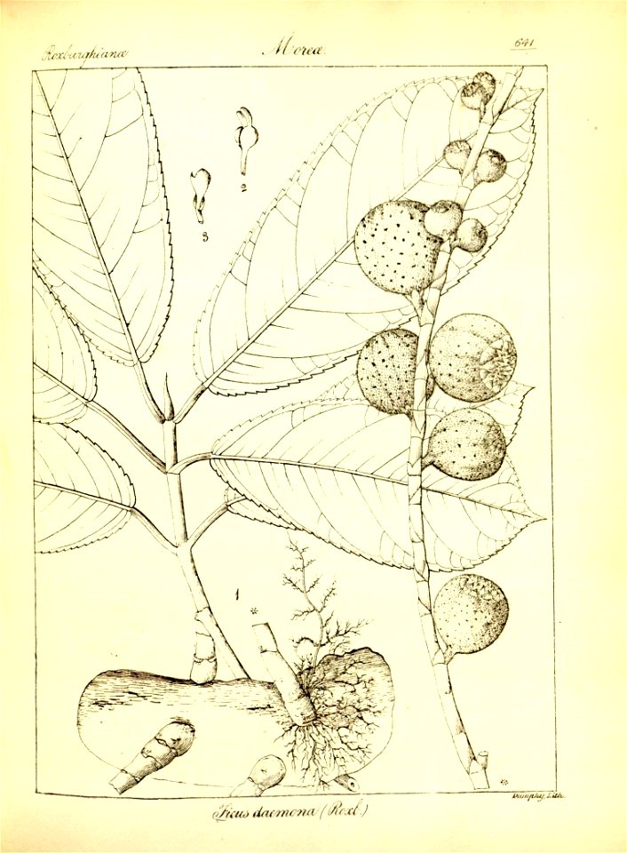n367_w1150