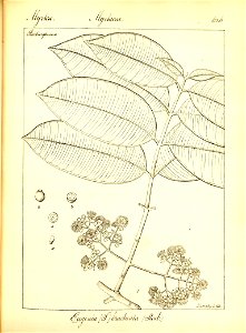 n352_w1150
