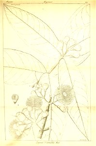 n337_w1150
