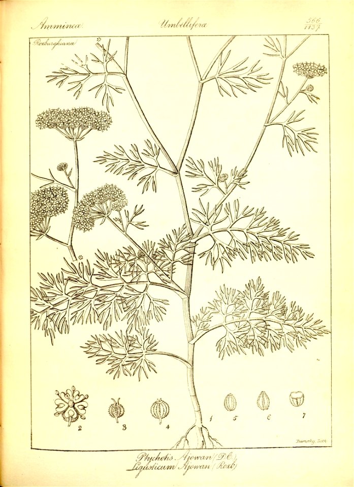 n292_w1150