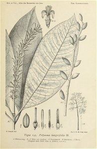 n430_w1150