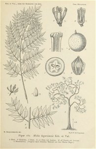 n406_w1150