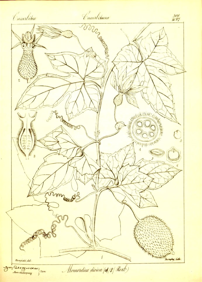 n232_w1150